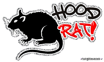 Hood Rat picture
